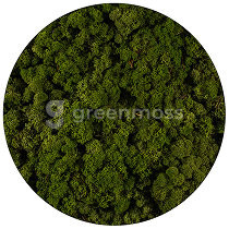 Medium green