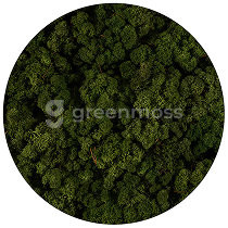 Forest green